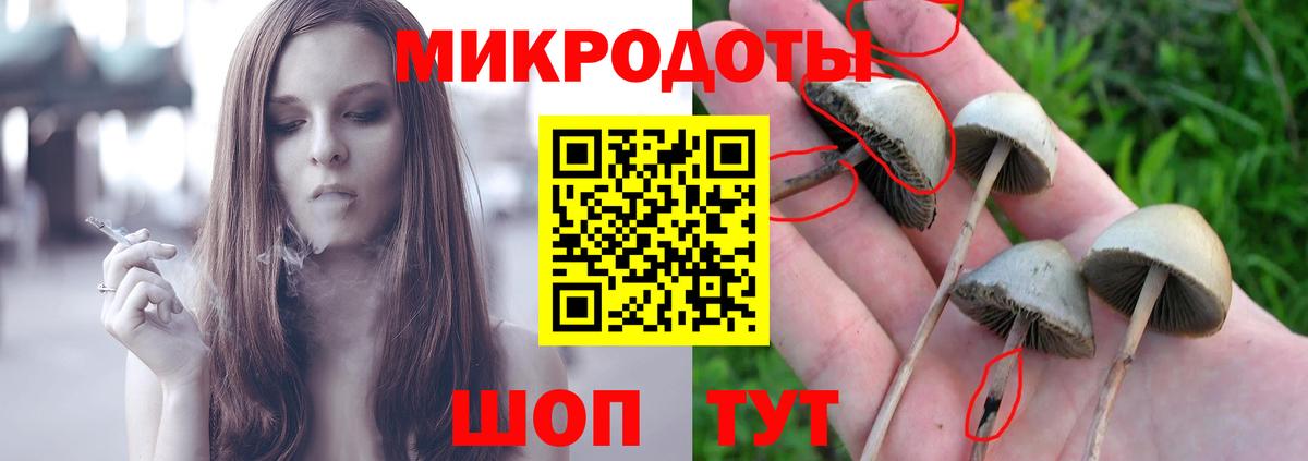 Великие Луки  Галлюциногенные грибы ЛСД  Псилоцибиновые грибы прущие грибы  Вход с VPN 